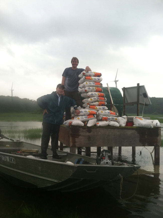 Marshall and David stacking fertilizer on a high spring tide.