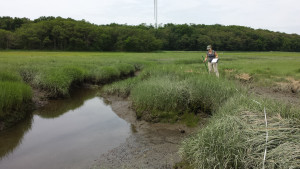 Nathalie creek bank