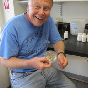 John happy to do science.  2010, Plum Island.  Photo: Ashley Mui