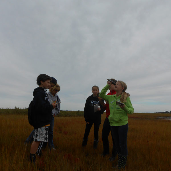 Emerging scientists sampling soil salinity