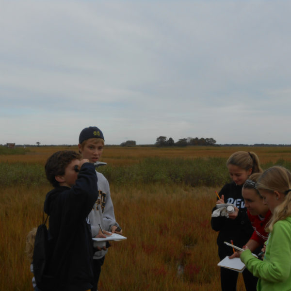 Young scientists and marsh science